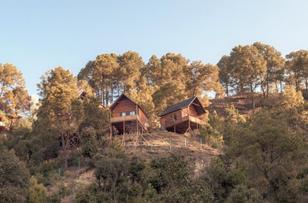 Suro Treehouse resort and spa - Shoghi, Shimla
