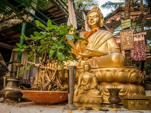 Tantra Beach Shack Goa Reviews Photos Offers Facade