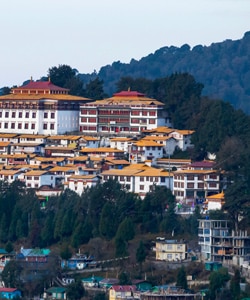 Domestic Hotels