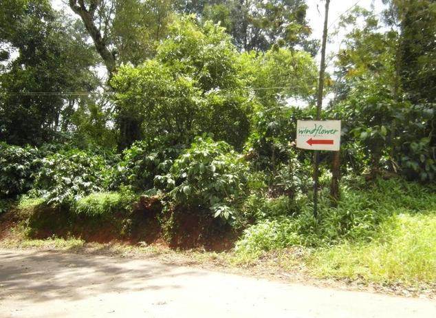 The Windflower Resorts & Spa - Suntikoppa, Coorg