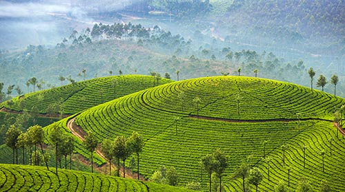 Munnar